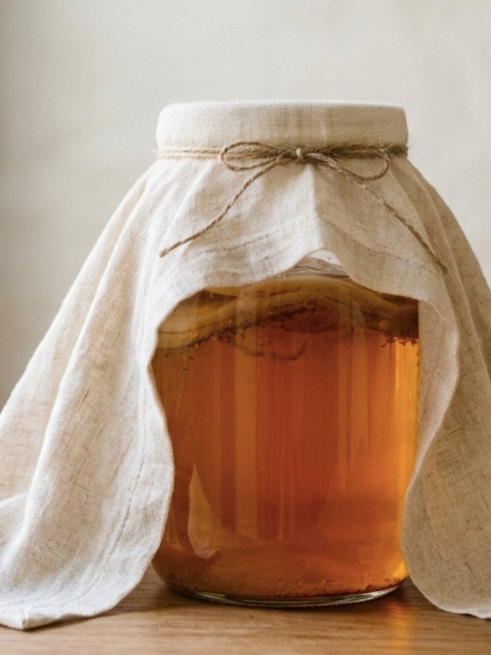Kombucha Scoby